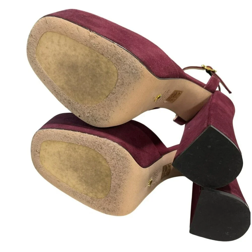 Stuart Weitzman Sky High 145 Platform Burgundy Heel Shoes